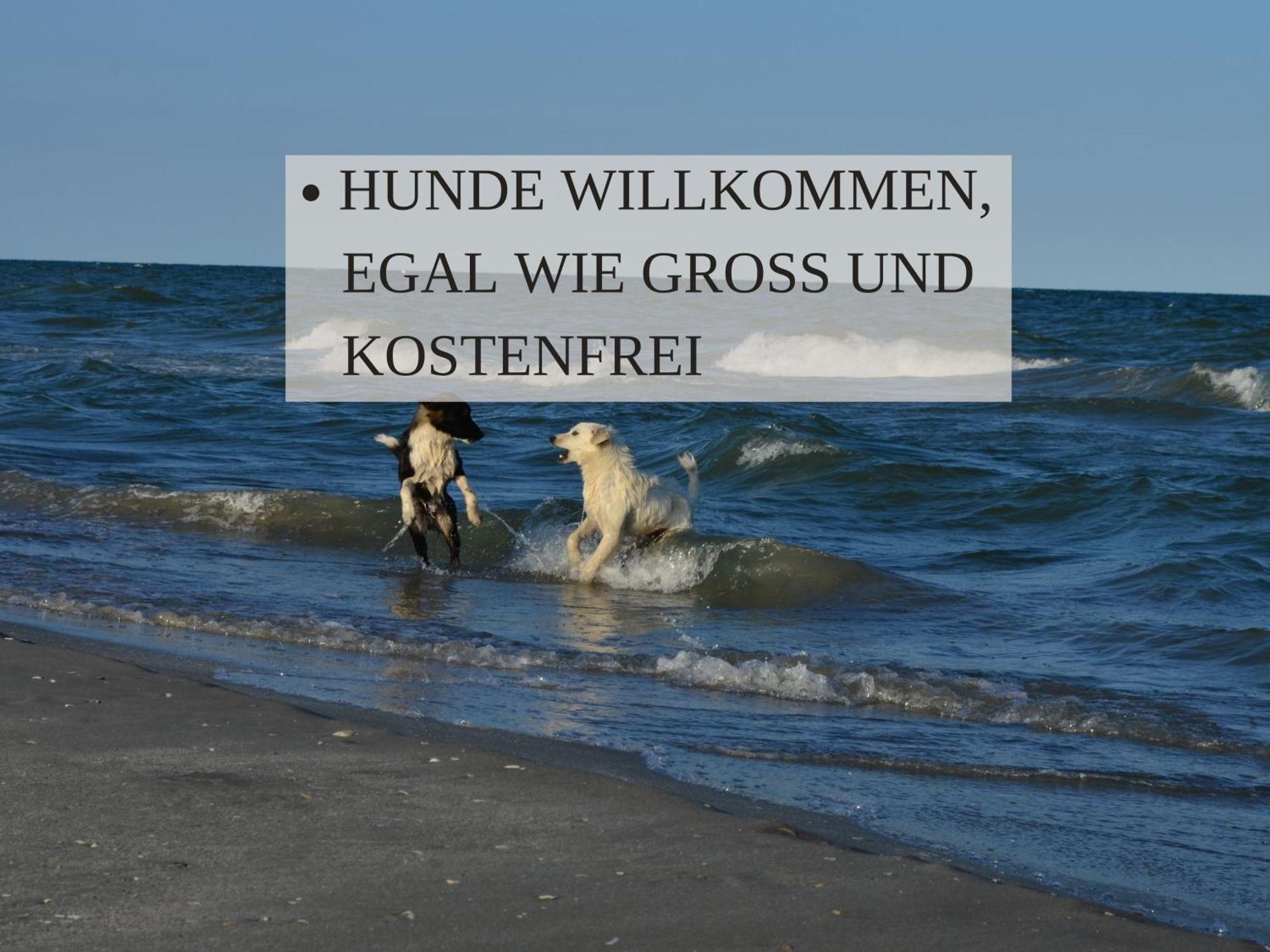 Haus Krabbe: Pet-Friendly Apartment with Free Parking Wremen Exterior photo